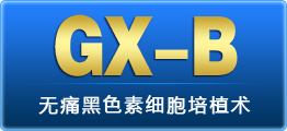 GX-B无痛黑色素细胞培植术